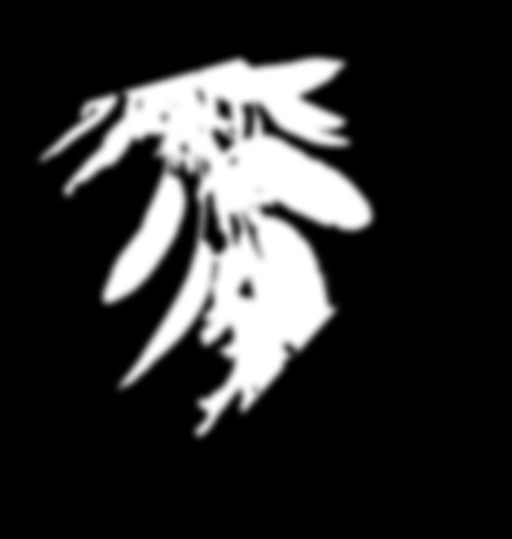 «Με...Νου, Αρωματόκηπος και Ευεξία» (Εκδόσεις Πατάκη), Φασκομηλιές / Sages (Salvia spp.