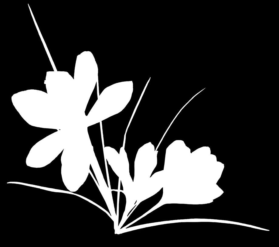 «Με...Νου, Αρωματόκηπος και Ευεξία» (Εκδόσεις Πατάκη), Κρόκος / Saffron (Crocus sativus) Ιδιότητες: Ορεκτική, ευστόμαχη, τονωτική,