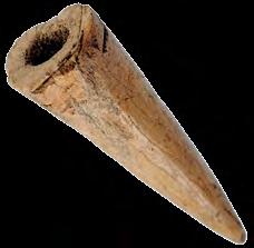 112. Полуфабрикат од рога Рог јелена, сечење; димензије: дужина 5,2 cm, дебљина 1,7 cm;