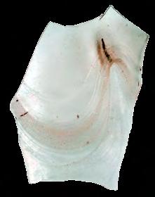 Пехар Стакло, техника слободног дувања; димензије: 3,4 х 2,2 х 0,01 cm; Објекат VI - просторија d, Северно