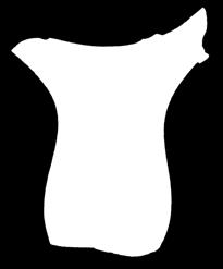 (?), 2008. година; Народни музеј Чачак, Ц 66/08.