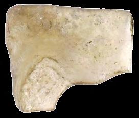 282. Прозорско стакло Стакло, ливење; димензије: 3 x 2,6 x 0,3 cm, 5,9 х 3 х 0,2 cm; Сонда 1/12, проширење 2, Горњи град, 2012. година; Народни музеј Чачак, Ц 61/12.