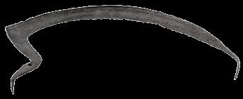 295. Део сечива косе (?) Гвожђе, ковање; димензије: 18,7 х 2,4 х 0,7 cm; Објекат VIII - просторија b, Горњи град, 2010. година; Народни музеј Чачак, Ц 174/10. Део лучно повијеног сечива косе (?