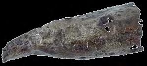 393. Врх копља Гвожђе, ковање; димензије: 17,4 х 1,9 х 1 cm; Сонда 5/96, Горњи град, 1996. година; Народни музеј Чачак, A II/388, Ц 192/96.