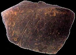 10. Фрагмент посуде Керамика, рађено руком; димензије: 5,6 х 6,7 х 0,7 cm; Базилика А - северни део нартекса, 1986. година, Западно подграђе (?); Народни музеј Чачак.