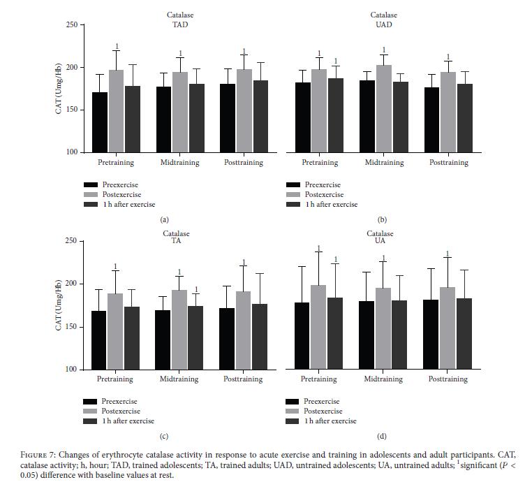 Acute exercise increased TAC and reduced GSH independent of age and training status suggesting a recruitment of antioxidant resources to offset the elevated oxidative stress.
