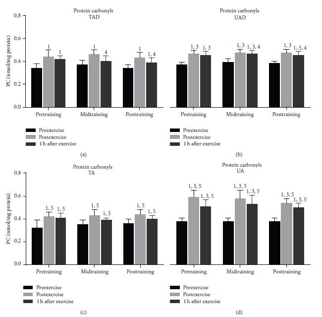 3.2. Age Effects. PC (Figure 3) and TBARS (Figure 4) resting values were comparable between adolescent and adult groups, independent of training status.