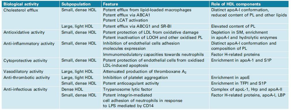 HDL: κατηγορίες Camont et al.