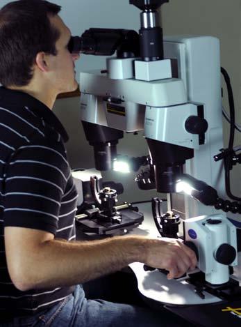 Εργασία με μικροσκόπιο: Καλές