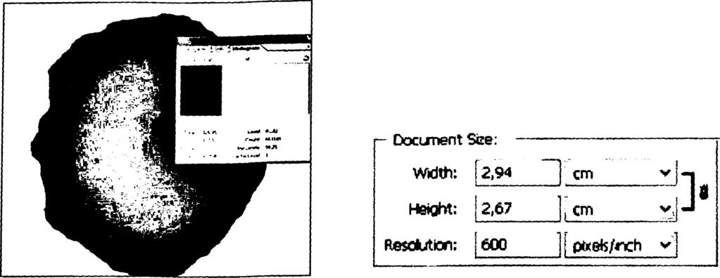 84 ποσοστό μαύρου χρώματος = 50,25% width επιλογής = 2,94 mm height επιλογής = 2,67 mm εμβαδόν = 3,9445245 mm2 3944525 pm2 Εικ. 19.