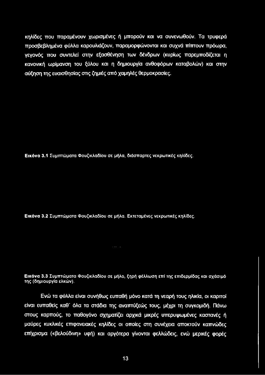 συντελεί στην εξασθένηση των δένδρων (κυρίως παρεμποδίζεται η κανονική ωρίμανση του ξύλου και η