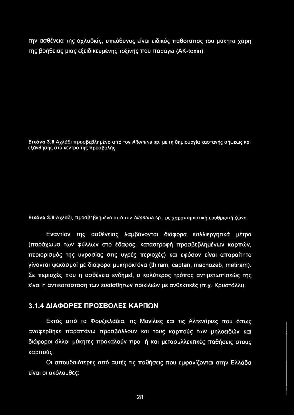 9 Αχλάδι, προσβεβλημένο από τον Alienaría sp., με χαρακτηριστική ερυθρωπή ζώνη.