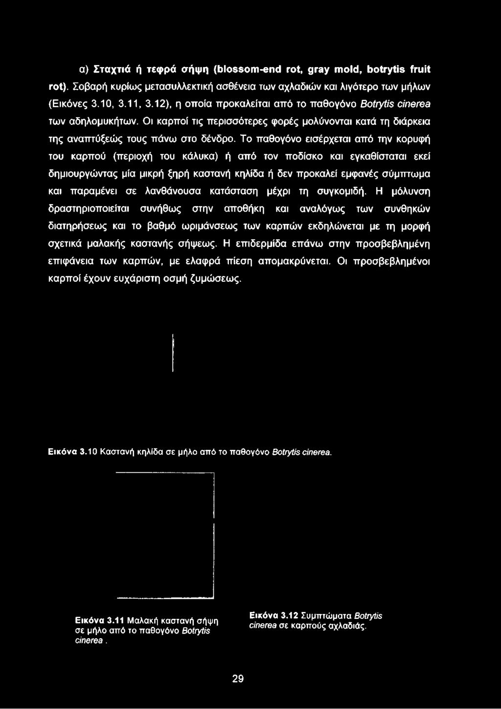 12), η οποία προκαλείται από το παθογόνο Botrytis cinerea των αδηλομυκήτων.