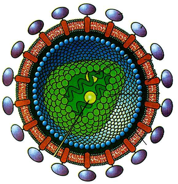 Δηθόλα 3.