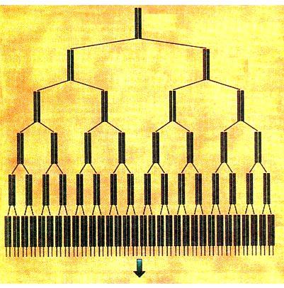 Δηθόλα 4. 6 Αιπζηδσηή αληίδξαζε πνιπκεξάζεο (PCR).