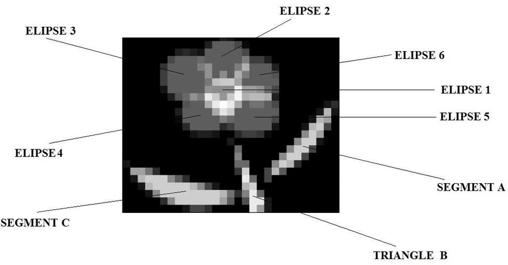 Στο συγκεκριμένο παράδειγμα οι διακριτές επιφάνειες που χρησιμοποιούνται για την προσέγγιση της εικόνας-εισόδου (βλ. την Εικόνα 4.1, μία μαργαρίτα) είναι εννέα (9) και διακρίνονται στην Εικόνα 4.3.