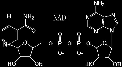 Amidy karboxylových kyselín O R C O H + NH 3 R C NH 2 + H 2 O O Amid