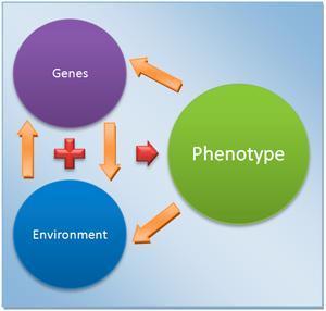 Phenotype Response to