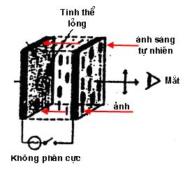 2. Hiển thị bằng đèn tinh thể lỏng (LCD): Với LCD thì sơ đồ khối và nguyên lý hoạt động như LED nhiều đoạn, chỉ khác một tý về mặt cấu tạo của LCD mà thôi. a. Cấu trúc của LCD: (Hình 15.9) Hình 15.