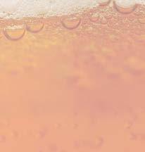 Ale Αφιέρωμα στη McFARLAND Στιλ: Irish red ale Χρώμα: Κεχριμπαρένιο Αλκοόλ: 5,6% Γεύση: Φρουτώδης, ελαφρώς γλυκιά, με πικρή επίγευση GOUDEN CAROLOUS Στιλ: Belgian Strong