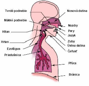 Tento dej sa periodicky opakuje, ako u tzv. piestovej píšťaly.