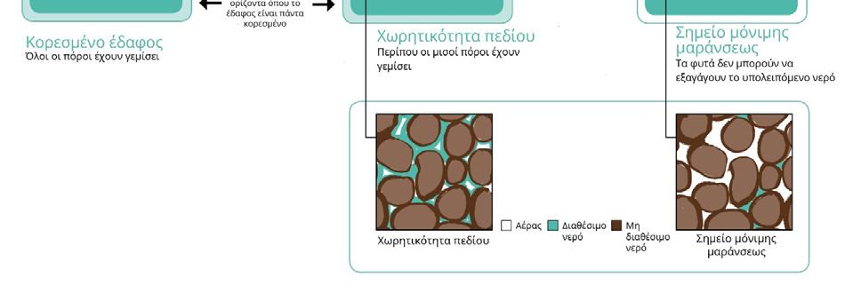 Η ποσότητα του νερού που απορροφάται εξαρτάται από την υφή και τη δομή του εδάφους, δεδομένου ότι αυτά τα χαρακτηριστικά επηρεάζουν σε μεγάλο βαθμό τη διαδικασία με την οποία το νερό που βρίσκεται