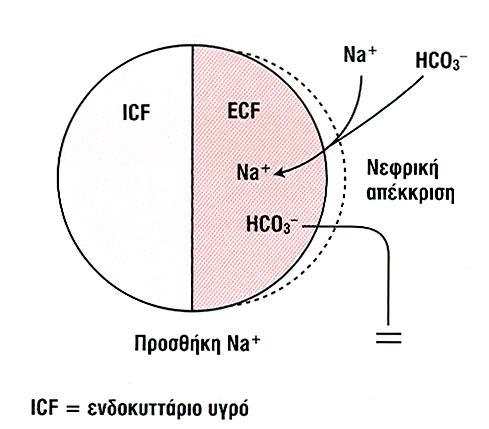 Εξωγενής προσθήκη διττανθρακικών Χορήγηση πλάσματος, αίματος, σε νεφρική ανεπάρκεια