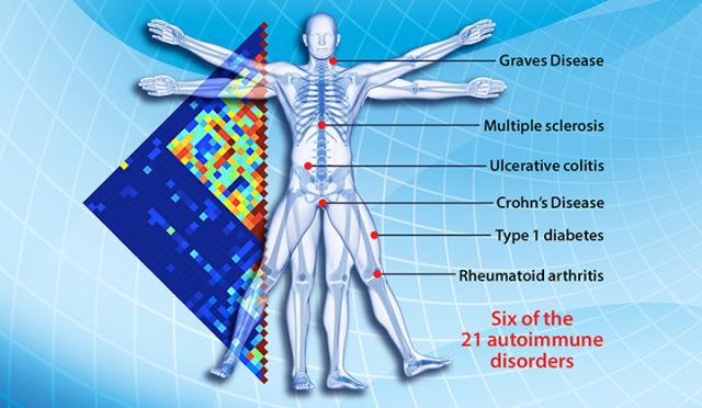 -Σκλήρυνση κατά πλάκας Διαβήτης τύπου 1 Ρευματοειδής αρθρίτιδα Θυρεοειδίτιδα Hashimoto Ψωρίαση -Λεύκη Ελκώδης κολίτιδα Νόσος του Crohn -Kοιλιοκάκη Ερυθηματώδης λύκος Δερματίτιδες -Σκληροδερμία
