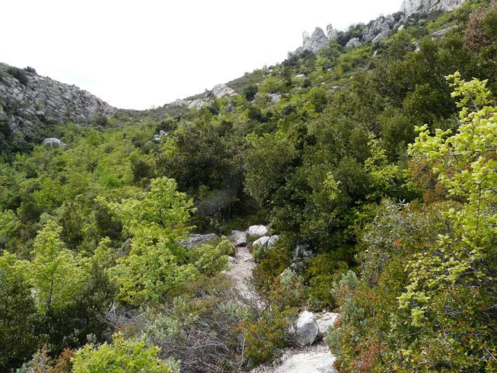 Τα φυτοφάγα ζώα αποτελούν αναπόσπαστο κομμάτι των φυσικών οικοσυστημάτων, διότι μετατρέπουν την πρωτογενή παραγωγή σε δευτερογενή και έτσι διατηρούνται οι