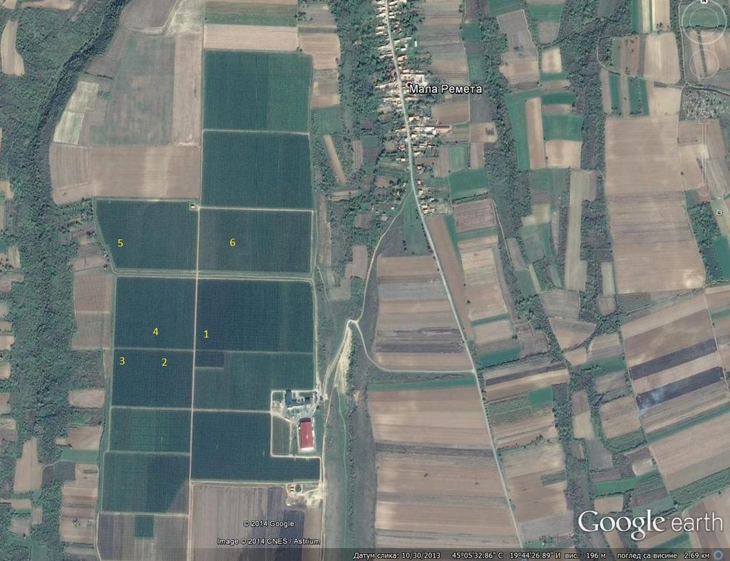 Слика 7. Засад јабуке у Малој Ремети (45º05' N, 19º44' E), Google Earth. Огледни засади су обележени бројевима: 1.