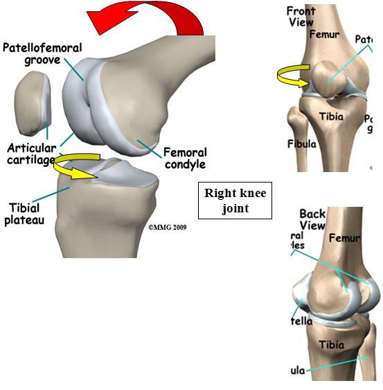 home mechanism