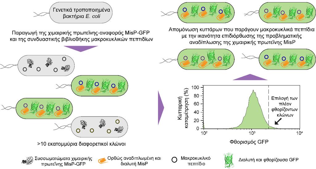 τεύχος Οκτωβρίου 2017 της επιθεώρησης Nature Biomedical Engineering.