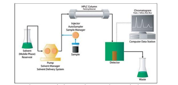 Χρωματογραφική στήλη Ανιχνευτής Σύστημα καταγραφής και αποθήκευσης δεδομένων Δοχείο αποβλήτων