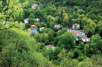 Άφιξη νωρίς το μεσημέρι στο λιμάνι της ΤΗΝΟΥ και μετάβαση στο ξενοδοχείο μας, τακτοποίηση. Ελεύθερο για τους εκδρομείς το μεσημεριανό φαγητό, ξεκούραση και κατά της 16:00μ.μ. θα αναχωρήσουμε για την περιήγηση στο νησί.