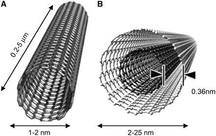 Ανάλογα με τη διαδικασία παρασκευής του νανοσωλήνα, προκύπτουν δύο τύποι: ο νανοσωλήνας άνθρακα μονού τοιχώματος (Single-walled carbon nanotube- SWCNT) και ο νανοσωλήνας άνθρακα πολλαπλού τοιχώματος
