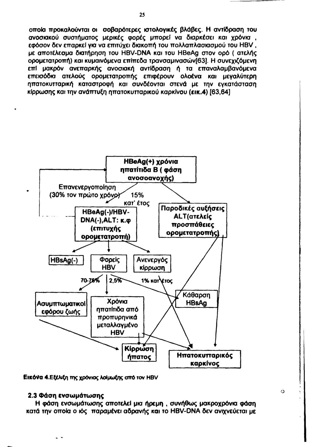 25 οποία προκαλούνται οι σοβαρότερες ιστολογικές βλάβες.