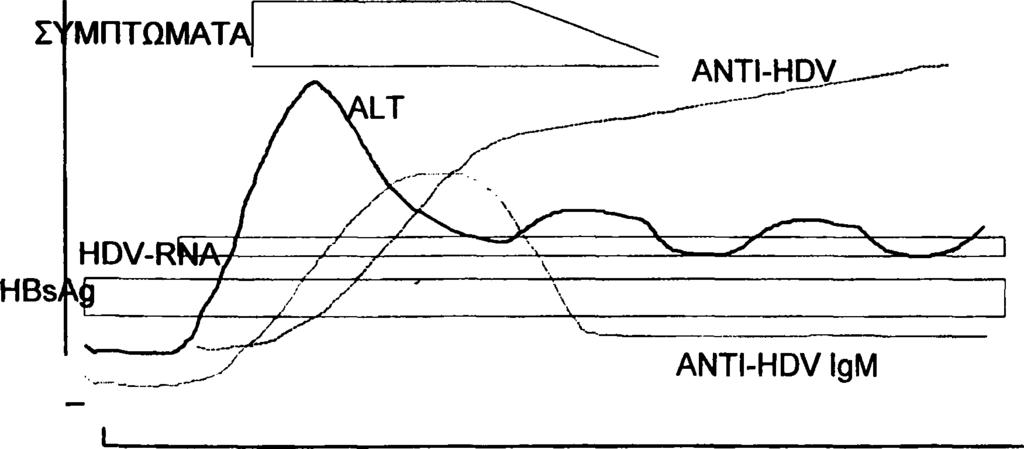 Προτείνεται η καθιέρωση ελέγχου ως προς αντί- HDV κάθε χρόνιου φορέα HBV, ο οποίος πρέπει να επαναλαμβάνεται σε περίπτωση βιοχημικής παρόξυνσης της νόσου ή κατά τακτά χρονικά διαστήματα σε ομάδες