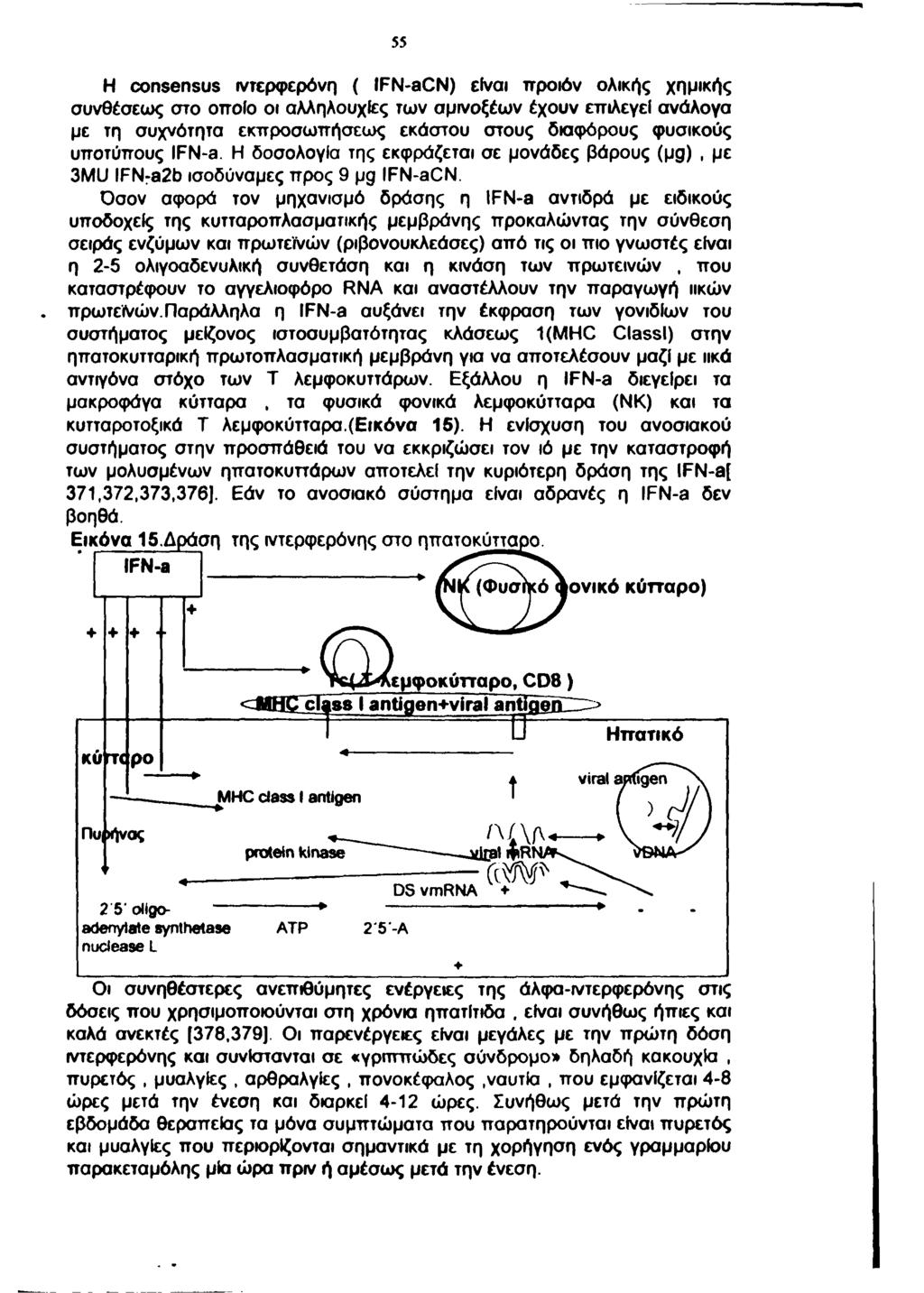 55 H consensus ιντερφερόνη ( IFN-aCN) είναι προϊόν ολικής χημικής συνθέσεως στο οττοίο οι αλληλουχίες των σμινοξέω ν έχουν επιλεγει ανάλογα με τη συχνότητα εκττροσωττήσεως εκάστου στους διαφόρους