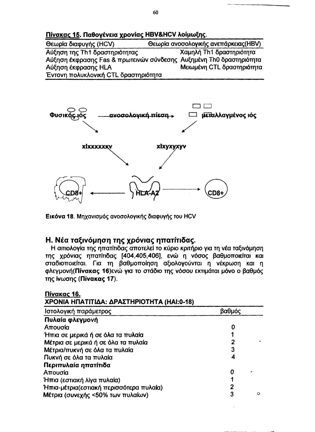 60 nivak ac 15. Παθογένεια χρονιάς HBV&HCV λοίμωξης.