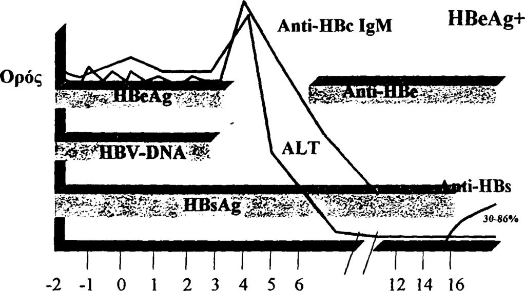 επίπεδα HBV-DNA (< 10pg/ml)[437]. Στους ασθενείς π ου ανταποκρίνονται στην ιντερφερόνη (IFN-α), παρουσιάζεται αύξηση των αμινοτρανσφερασών 6-8 εβδομάδες μετά την έναρξη της θεραπείας.