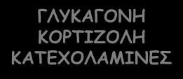 στην κυκλοφορία Μείωση των αποθηκών γλυκογόνου,