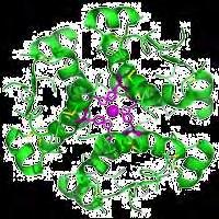 Ο σχηματισμός εξαμερούς παρουσία ψευδαργύρου, αλλά και συνθέτων συμπλεγμάτων με απλές πρωτεΐνες (όπως η