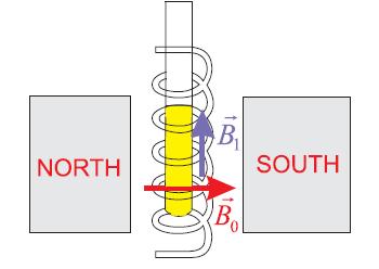 Εικόνα 1.5: Βασική πειραματική διάταξη ΠΜΣ, με τον μόνιμο μαγνήτη και το πηνίο ανίχνευσης [2].