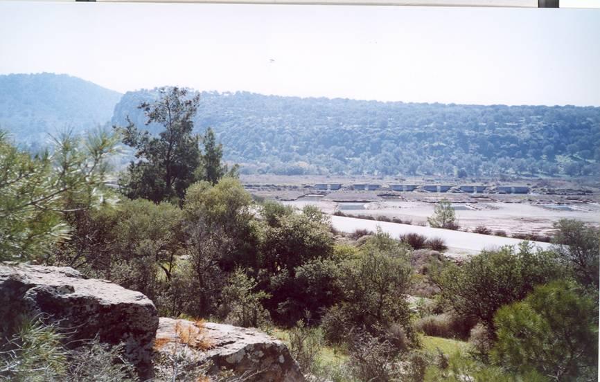 περιβάλλον) Μεσαίοι