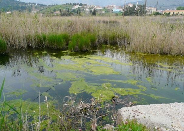 Εάν θέλει κάποιος να ακριβολογήσει, τα δέλτα είναι ευρύτερες μονάδες τοπίου, οι οποίες περικλείουν επιμέρους τύπους υγροτόπων.