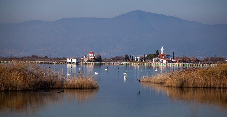 αμμώδεις ακτές, εκβολή ποταμού και κατάλληλη δράση των θαλασσίων ρευμάτων. Το νερό των λιμνοθαλασσών προέρχεται από τα ατμοσφαιρικά κατακρημνίσματα, από ποταμούς ή χειμάρρους και από τη θάλασσα.