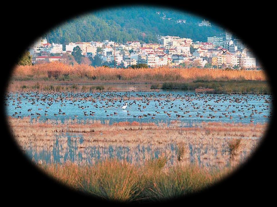 ΓΥΜΝΑΣΙΟ & ΛΤ ΑΓΙΟΥ ΓΕΩΡΓΙΟΥ