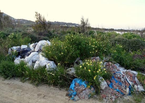 κράτη να προσδιορίσουν το νομικό καθεστώς προστασίας και τα συγκεκριμένα μέτρα διαχείρισης που θα λάβουν για τη διατήρηση των υγροτοπικών πόρων.