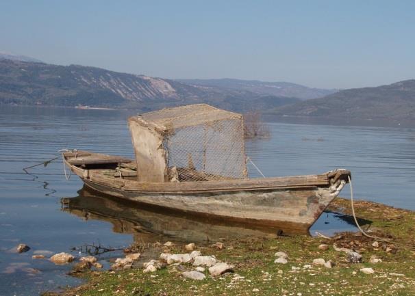 4.1. ΕΙΣΑΓΩΓΗ Oι υδροβιότοποι είναι μέρη που καλύπτονται μόνιμα ή εποχικά από ρηχά νερά ή που έχουν υγρό υπόστρωμα για μεγάλο διάστημα του έτους και αποτελούν σημαντικά οικοσυστήματα όπου ζει και