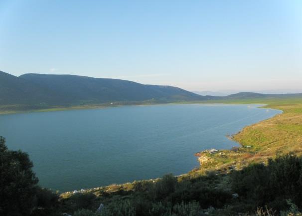 υπήρχε μεγάλος ναός του θεού Απόλλωνα, που είχε την προσωνυμία «Πτώος» από το ομώνυμο γειτονικό βουνό.